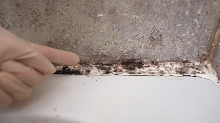 Best Mold Prevention Services  in Grafton, WI