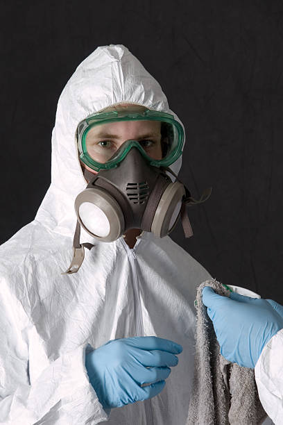 Grafton, WI Mold Removal Company